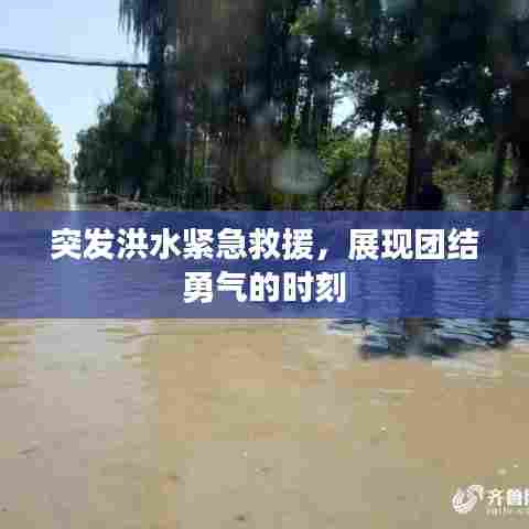 突发洪水紧急救援,展现团结勇气的时刻