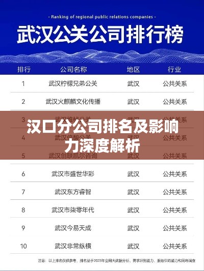 汉口分公司排名及影响力深度解析