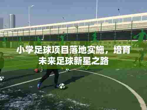 小学足球项目落地实施，培育未来足球新星之路