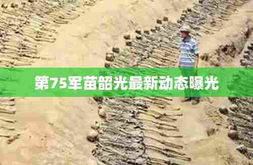 第75军苗韶光最新动态曝光