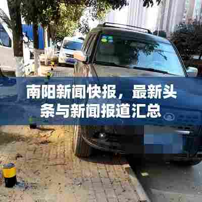南阳新闻快报，最新头条与新闻报道汇总