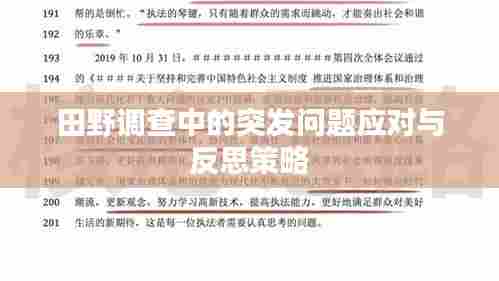 田野调查中的突发问题应对与反思策略
