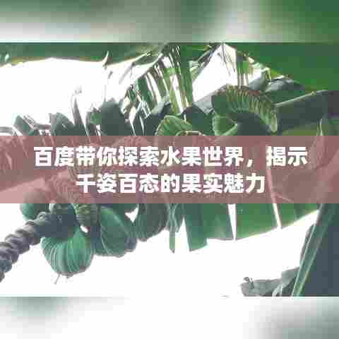 百度带你探索水果世界，揭示千姿百态的果实魅力
