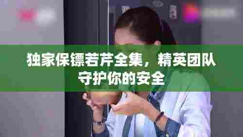 独家保镖若芹全集,精英团队守护你的安全