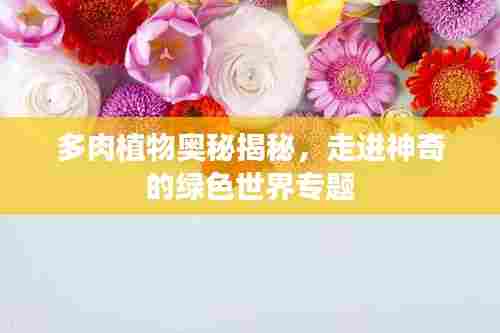 多肉植物奥秘揭秘，走进神奇的绿色世界专题