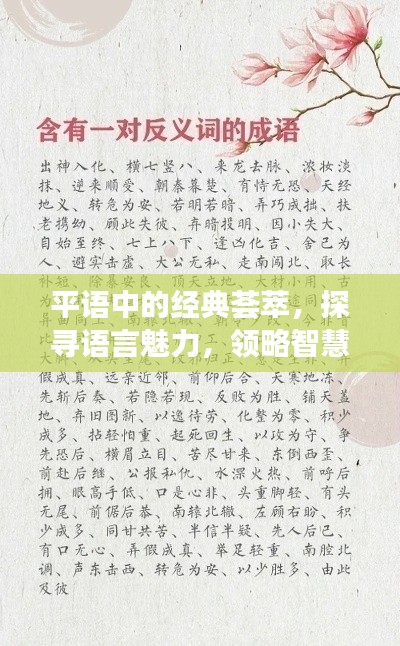 平语中的经典荟萃，探寻语言魅力，领略智慧结晶