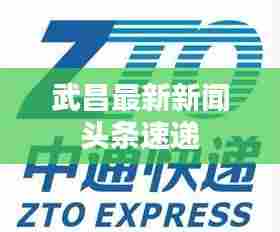 武昌最新新闻头条速递