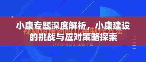 小康专题深度解析,小康建设的挑战与应对策略探索