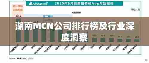湖南MCN公司排行榜及行业深度洞察