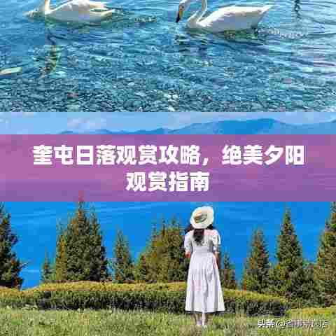 奎屯日落观赏攻略，绝美夕阳观赏指南