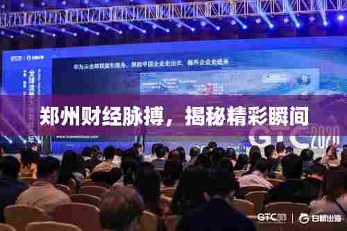郑州财经脉搏，揭秘精彩瞬间