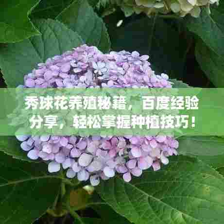 贵出贱收 第5页