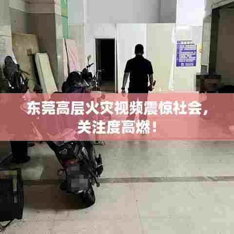 东莞高层火灾视频震惊社会，关注度高燃！