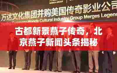 古都新景燕子传奇,北京燕子新闻头条揭秘