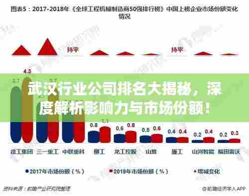 武汉行业公司排名大揭秘，深度解析影响力与市场份额！