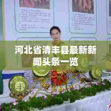 河北省清丰县最新新闻头条一览