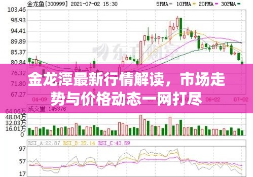 金龙潭最新行情解读,市场走势与价格动态一网打尽