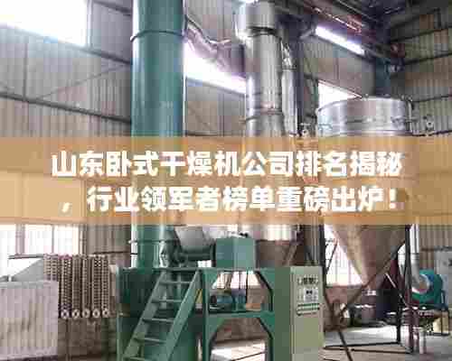 山东卧式干燥机公司排名揭秘，行业领军者榜单重磅出炉！