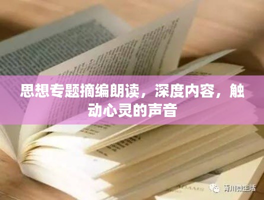 思想专题摘编朗读，深度内容，触动心灵的声音