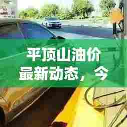 平顶山油价最新动态,今日消息一览