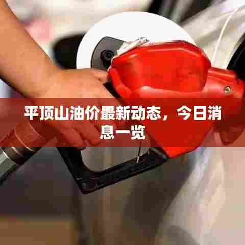 平顶山油价最新动态,今日消息一览