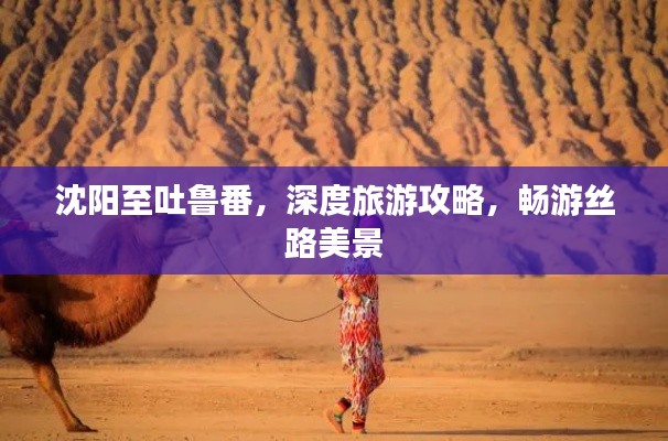 沈阳至吐鲁番，深度旅游攻略，畅游丝路美景