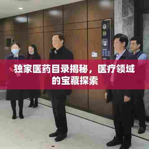 独家医药目录揭秘，医疗领域的宝藏探索