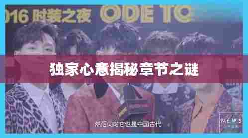 独家心意揭秘章节之谜