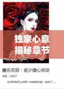 独家心意揭秘章节之谜