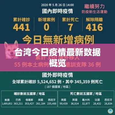 台湾今日疫情最新数据概览