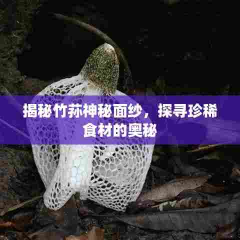 揭秘竹荪神秘面纱，探寻珍稀食材的奥秘