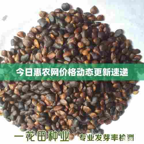 今日惠农网价格动态更新速递
