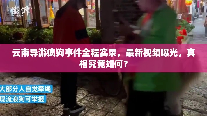 云南导游疯狗事件全程实录,最新视频曝光,真相究竟如何?
