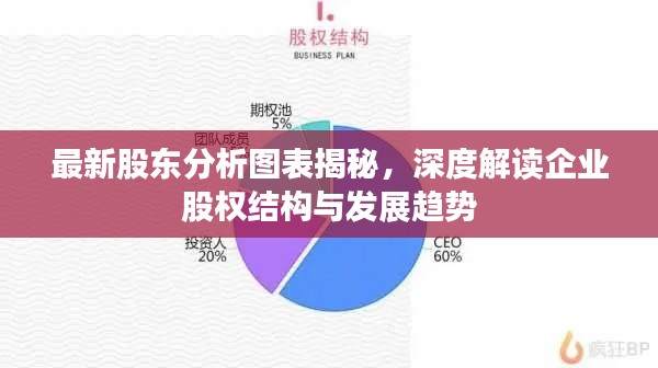 最新股东分析图表揭秘，深度解读企业股权结构与发展趋势
