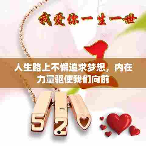 人生路上不懈追求梦想，内在力量驱使我们向前