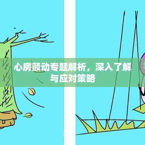 心房颤动专题解析,深入了解与应对策略