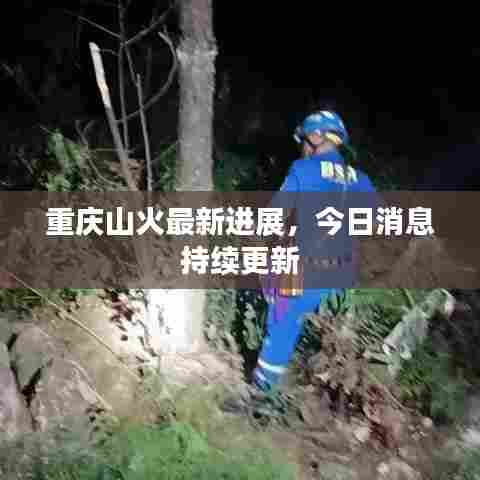 重庆山火最新进展，今日消息持续更新