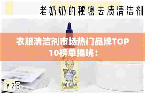 衣服清洁剂市场热门品牌TOP10榜单揭晓!