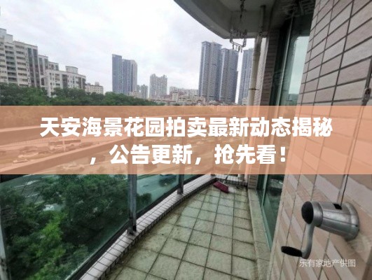 天安海景花园拍卖最新动态揭秘,公告更新,抢先看!