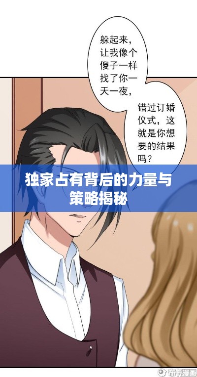 独家占有背后的力量与策略揭秘