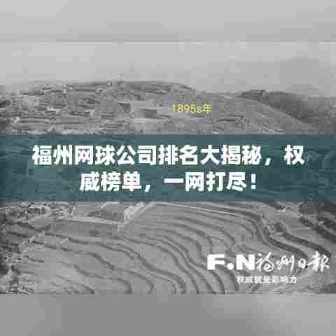 福州网球公司排名大揭秘,权威榜单,一网打尽!