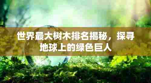 世界最大树木排名揭秘，探寻地球上的绿色巨人