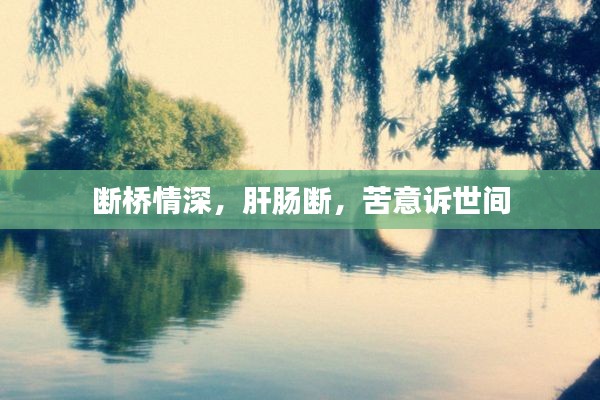 断桥情深，肝肠断，苦意诉世间