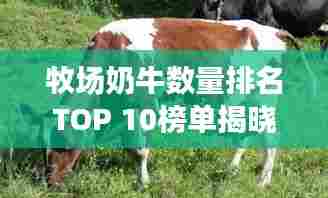 牧场奶牛数量排名TOP 10榜单揭晓