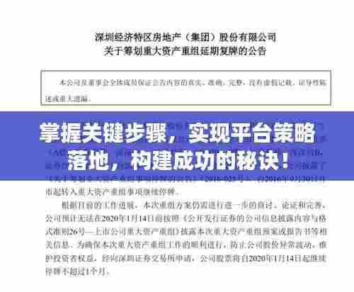 掌握关键步骤,实现平台策略落地,构建成功的秘诀!