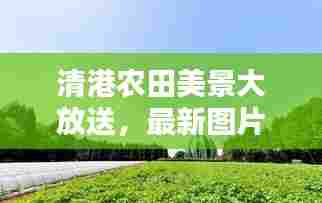 清港农田美景大放送,最新图片大全与高清大图欣赏