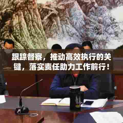 跟踪督察，推动高效执行的关键，落实责任助力工作前行！