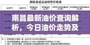南昌最新油价查询解析，今日油价走势及实时信息更新