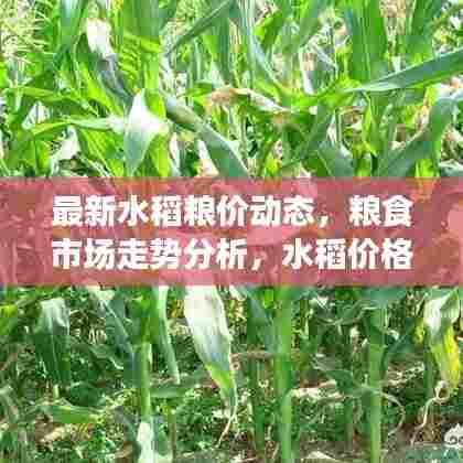 粗衣淡饭 第5页