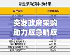 突发政府采购助力应急响应与公共资金高效利用提速